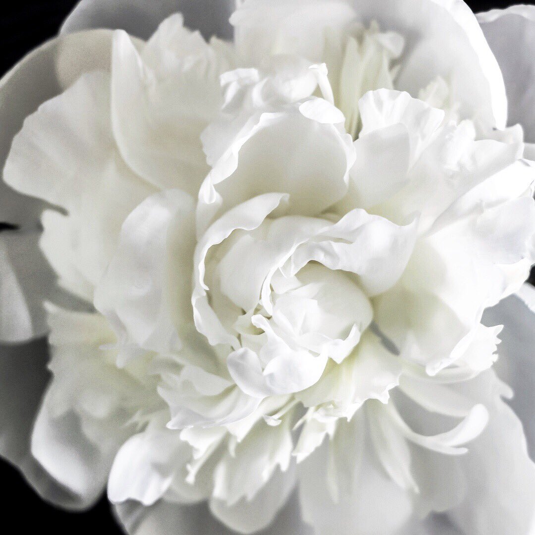 WellspringStone's tweet photo. This is one of the images for the #June #free lock screens for ur device. Can you guess what word goes w this one? Check it out on the blog @WellspringStone
#free #freelockscreens #freelockscreen #invisibleillness #chronicillness #chronicpain #spoonies #wellness #june #flower https://t.co/ZHta3czs3I