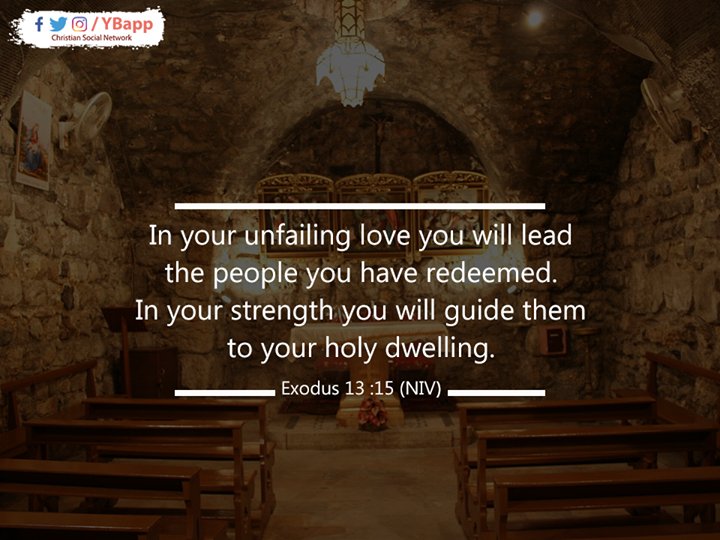 YBapp's tweet photo. In your unfailing love you will lead
the people you have redeemed.
In your strength you will guide them
to your holy dwelling.
Exodus 15: 13 (NIV)
#YBapp
#YallaBina https://t.co/Qhvc2i0Pg5 https://t.co/MYO8uQ9PGi