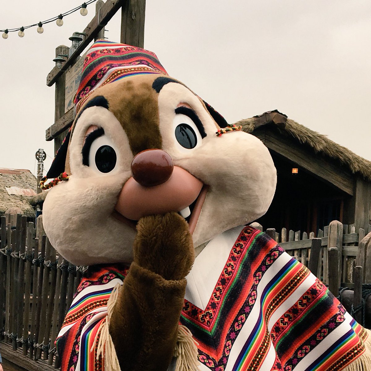 Poppe 羊毛フェルト チップとデールにサイン貰った ってことでディズニー来てま チップの写真怖い