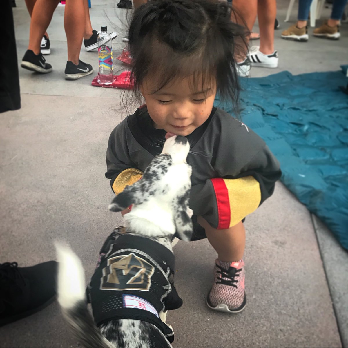 VegasGalB's tweet photo. @GoldenKnights ๐ถ ๐ #littlestfans https://t.co/TsMxKR7NCl