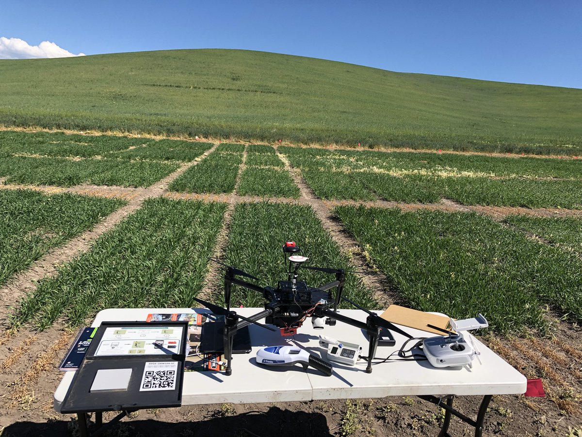 IDCrops's tweet photo. #PrecisionSensing #Idaho #Wheat https://t.co/lvBqTTcZ62