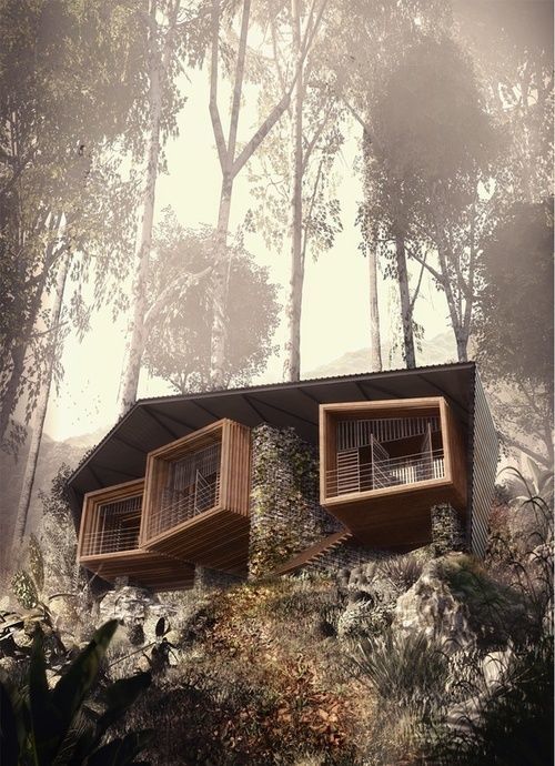 adev27's tweet photo. Just Pinned to Architecture et la ligne - Architecture and Line: cabbagerose: bukit lawang lodge/foster lomas via: chrishague https://t.co/X3U0GD3nfJ https://t.co/gJ0W8nn9uh