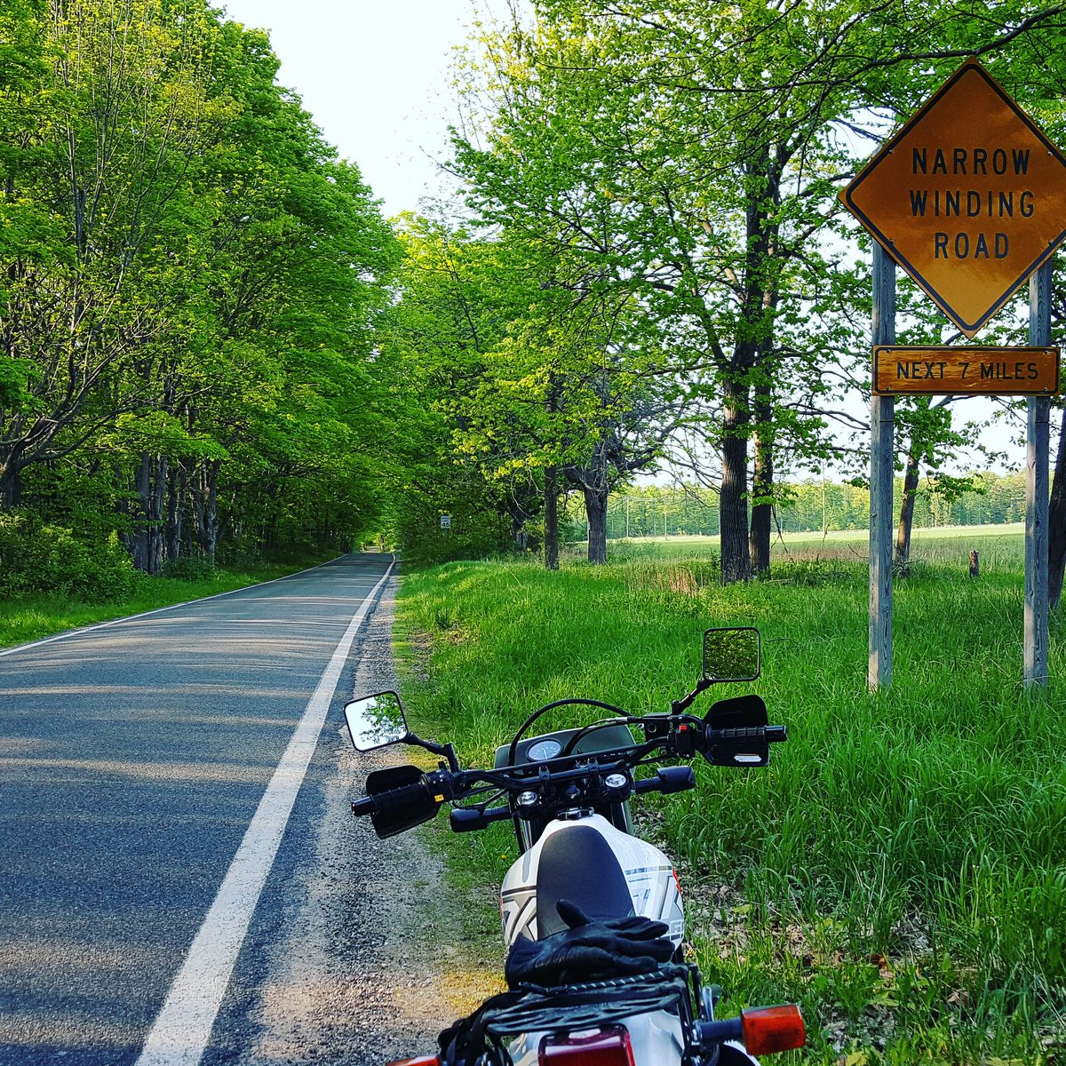 scott_does's tweet image. The #tunneloftrees along #m119 is a must for @PureMichigan cycle fans