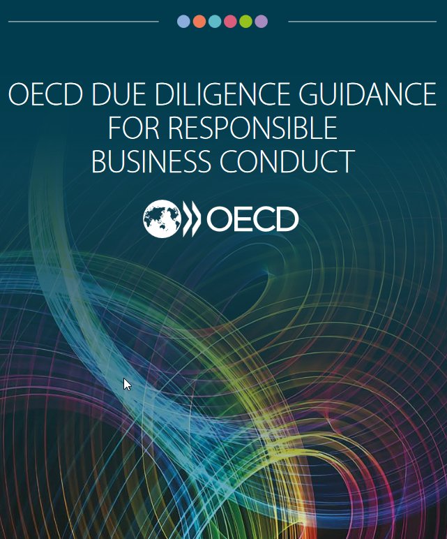 OECDwatch's tweet photo. Important new tool 2 ensure business respects #humanrights, avoids adverse social &amp; envr. impacts, &amp; remedies harm caused: @OECD publishes new #DueDiligence guidance for RBC. https://t.co/PQ61545gxh. Emphasizes prevention, #Gender perspective &amp; meaningful stakeholder engagement https://t.co/aYi7LGn1FP
