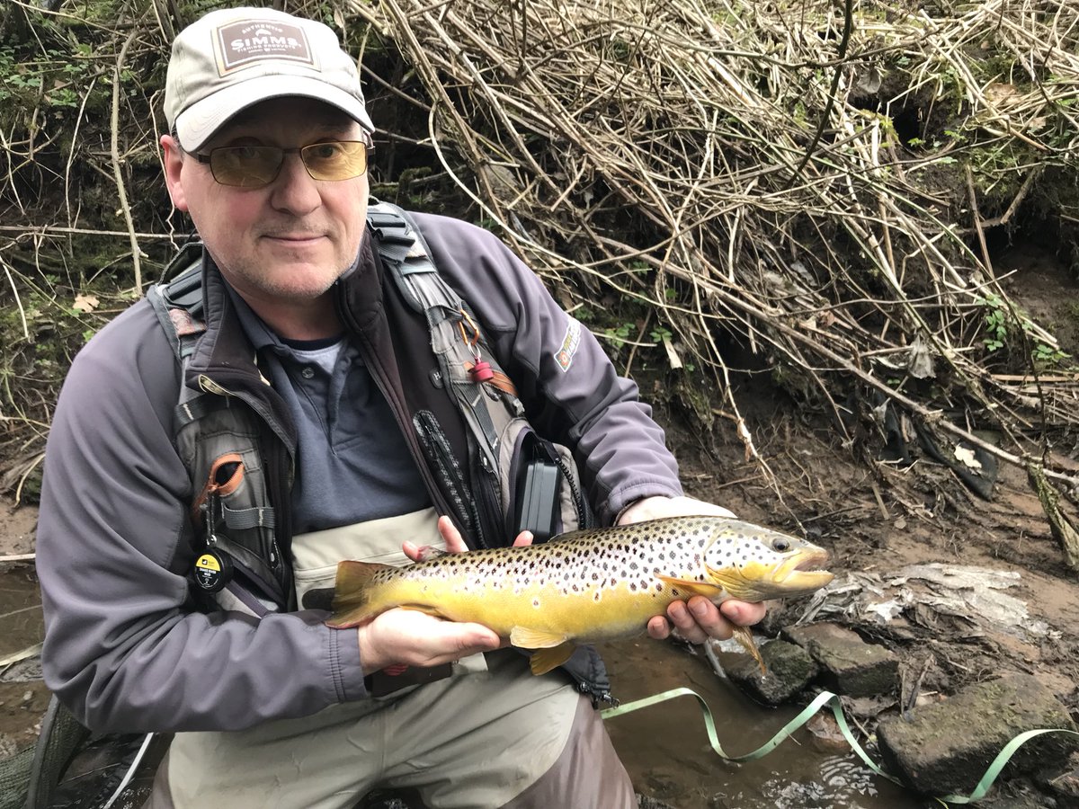 FishOnProductions tweet media