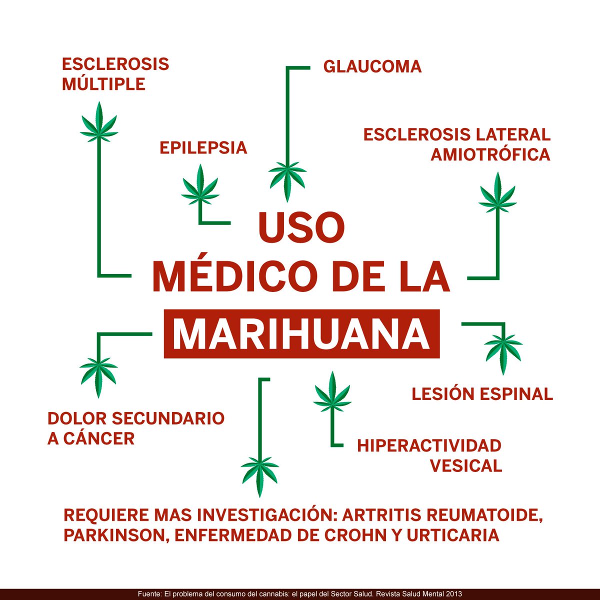 papelrawespana's tweet photo. Cannabis, esa bendita planta…👏
#smokenaturally #RAWlife https://t.co/cYbmZ1hrtR