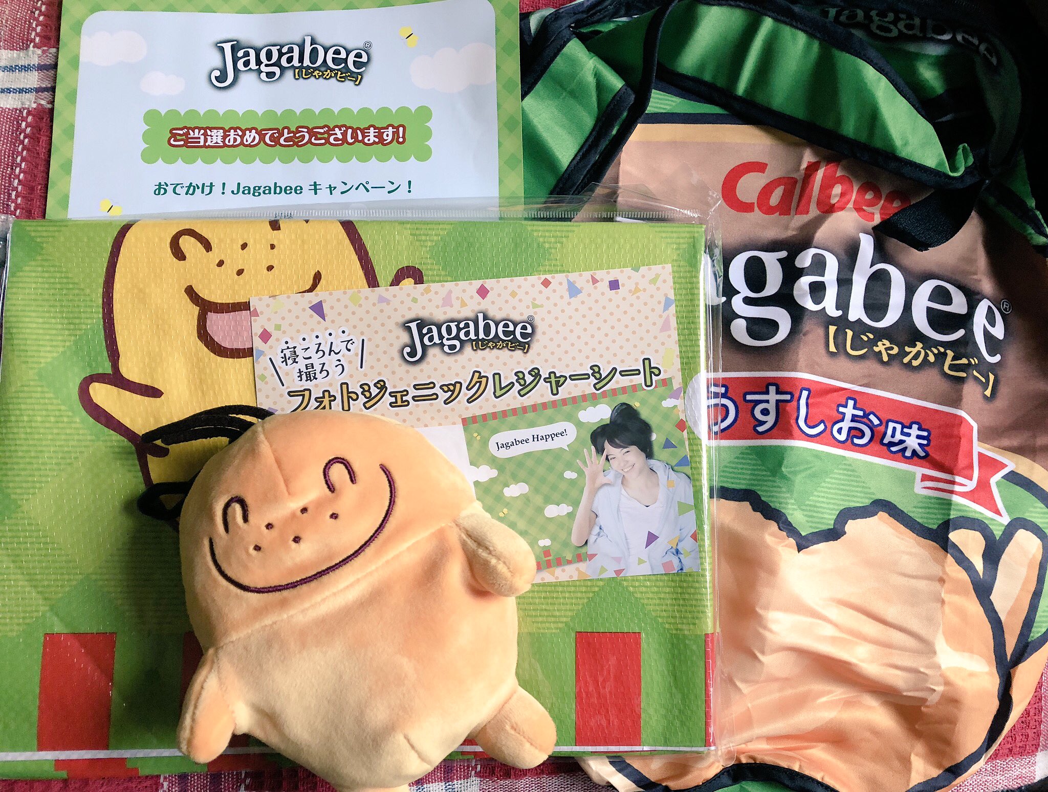 あゆみっくす カルビー様のキャンペーンで当選 可愛いもの好きにはたまらないポッタくんグッズは トートバックinぬいぐるみとレジャーシートでした キャラクター見たことあるでしょ ポッタって名前みたいだよ おでかけjagabee
