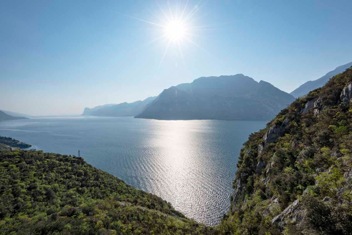 The Crowded Planet tweet media