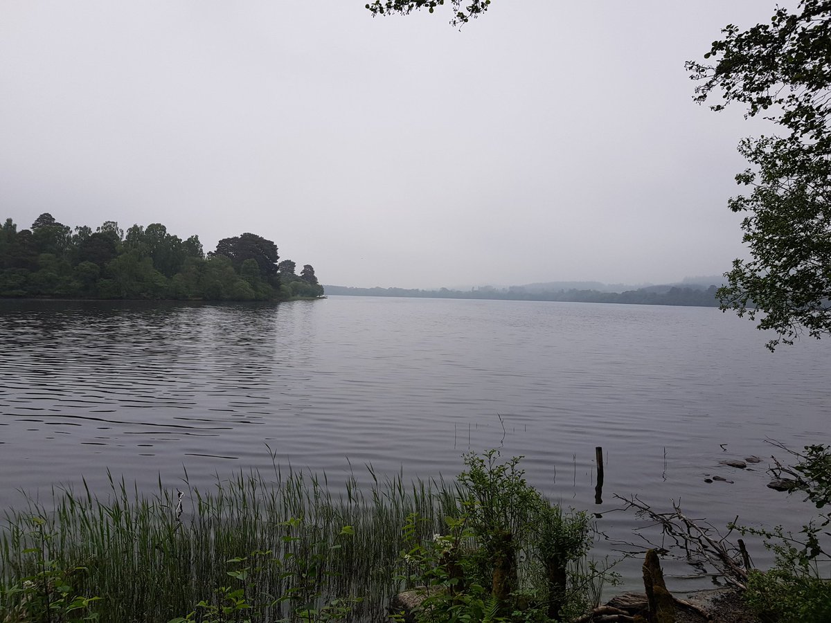 GODonnell_'s tweet photo. Just watched a nesting osprey. Day made and it's not even 10 o'clock https://t.co/b1utrx4615