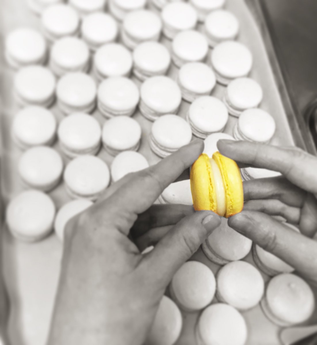 Bonnafous Audrey tweet media