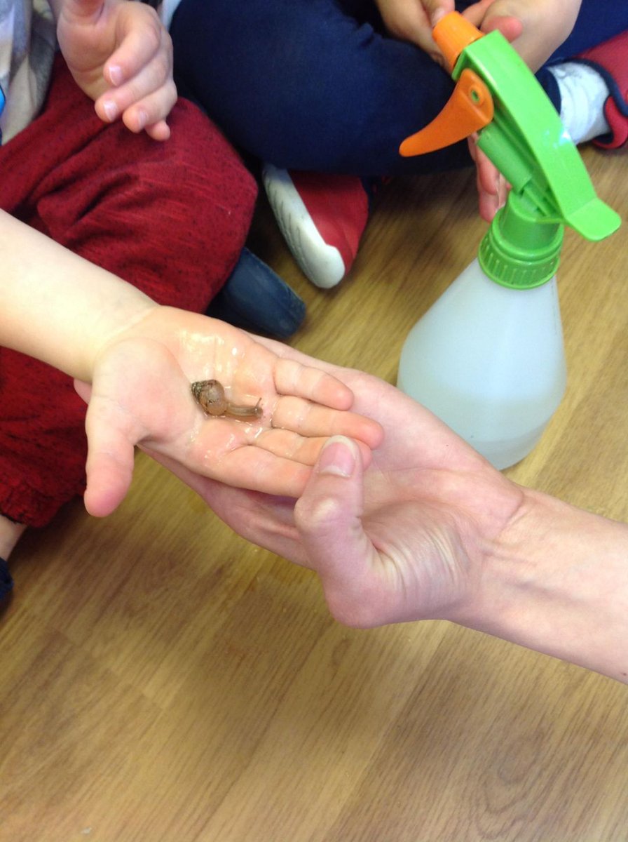 SpringNurseryH's tweet photo. Dragonflies (2-5) learned all about taking care when looking after nature. We spoke about how these snails came all the way from Africa ๐๐จ๐ซand how they start off as tiny eggs ๐ฅthen grow into snails as big as your hand. ๐๏ธ#Springgrowlearn @30DaysWild https://t.co/e2JFRu2TKX