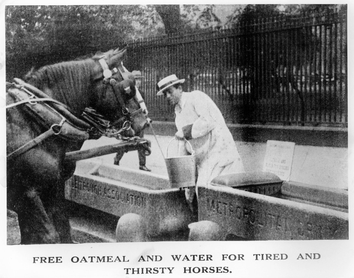The_Blue_Cross's tweet image. #LondonHistoryDay Did you know that over 100 years ago, our charity funded water troughs so that working horses on the streets of London could have access to drinking water? 

Many are still around today and used as seats or flowerbeds. Have you seen one?