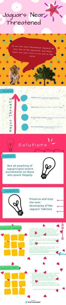 ChiuLuby's tweet photo. @ms_marcum #Jaguars have 4 major problems: #habitatloss, #poaching, ranchers killing them, and the lack of camouflage. There are 2 main possible solutions: ban all poaching and stop the development of Jaguars' land.
#KASendangered #KASeaPoached https://t.co/5q56qIBReP
