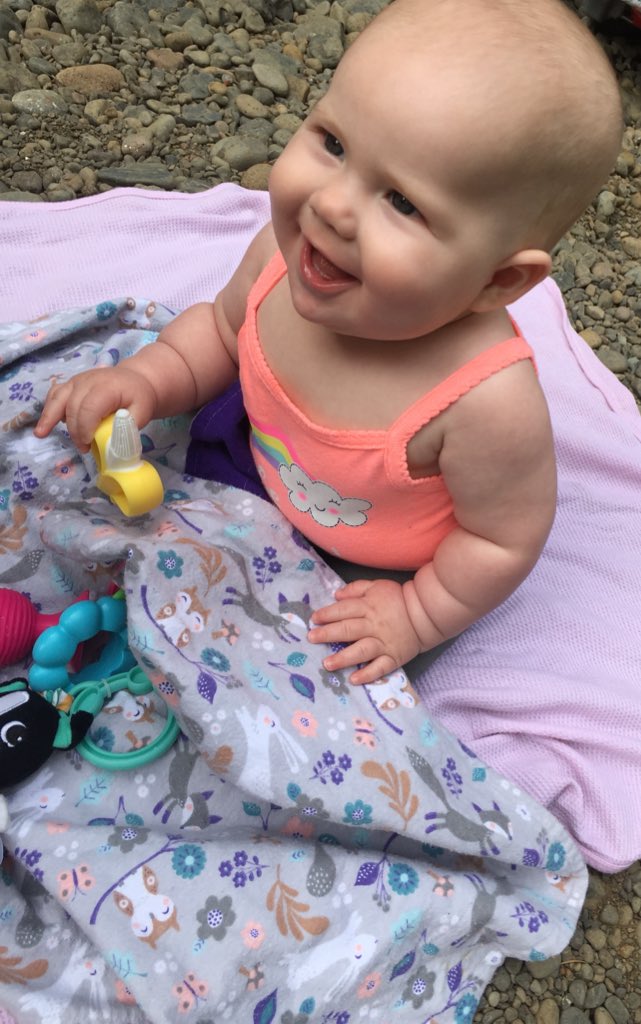 pnwgypsy's tweet photo. Summer 2018 my pride and joy https://t.co/L0iiwYLU8S
