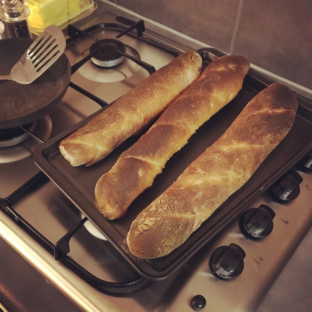 larasteel_'s tweet photo. Baguettes, homemade edition https://t.co/aRo7aqsA9o https://t.co/qYNbe0KjFg