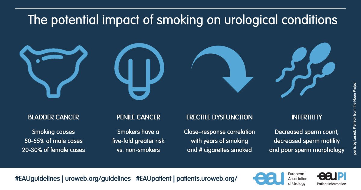 EauPatient's tweet image. Tobacco smoking negatively affects #erectilefunction and #fertility. It significantly increases the risk of #bladdercancer and #penilecancer. #WorldNoTobaccoDay #eaupatient #erectiledysfunction #maleinfertility #bladdercancer #penilecancer
bit.ly/1CawIRr