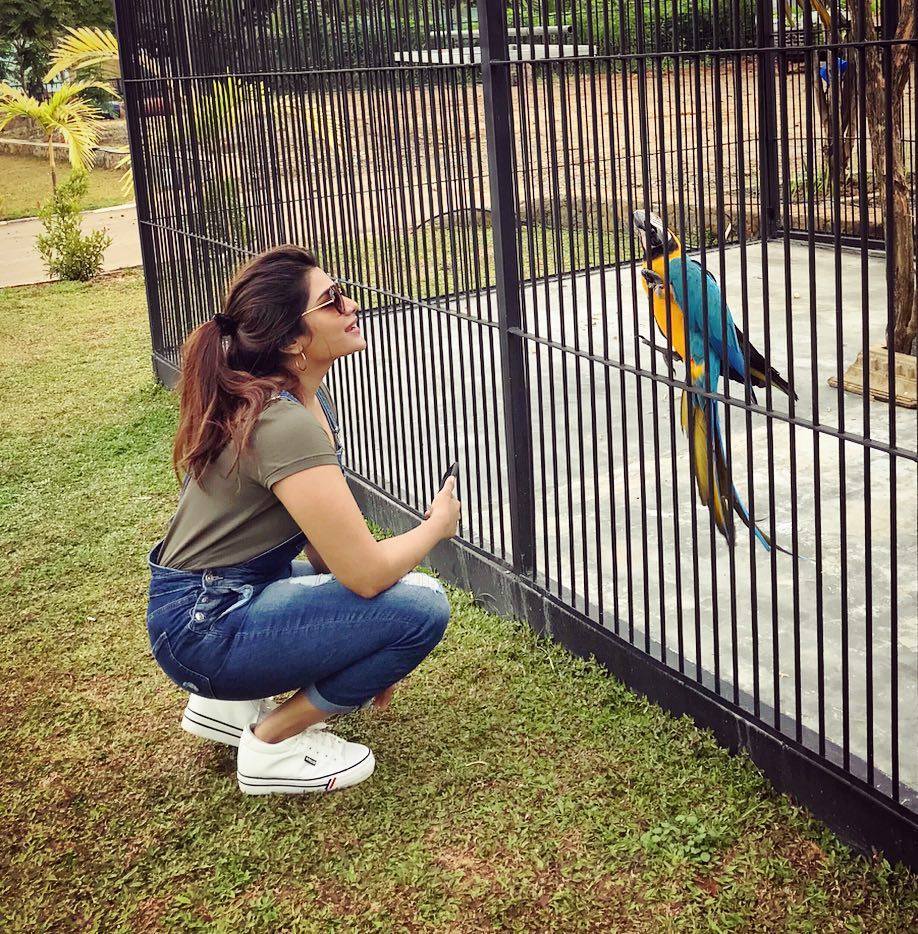 cinemaactress's tweet photo. Cute @aathmikaa latest Clicks😍
#KCA #aathmika #KollywoodActress https://t.co/dR1w3MlRXv