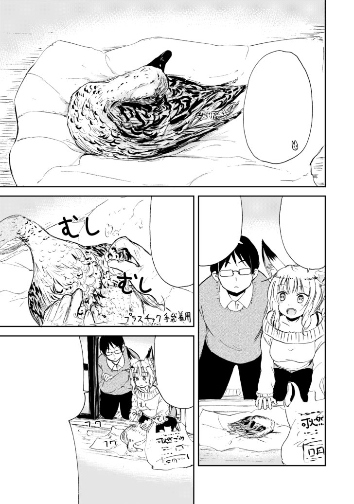 >最新刊では、旦那さんとの「子づくり」のため、
>お嫁ちゃんが「養育費」調達に奮闘します♪

_人人人人_
> 採餌 <
‾Y^Y^Y^Y^‾

 https://t.co/6cYuWaHUjR
#狐のお嫁ちゃん #Batta #みんコミ #ebookjapan 
