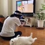 PSVR「ねこあつめ」をプレイしている風景がなんともシュールｗ