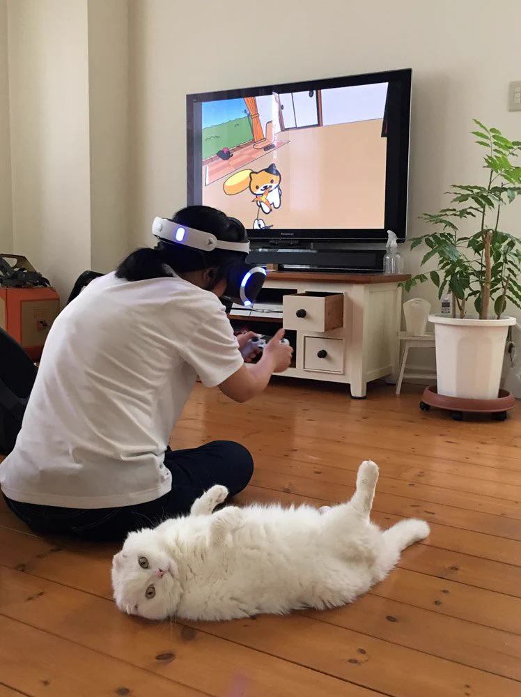 PSVR「ねこあつめ」をプレイしている風景がなんともシュールｗ