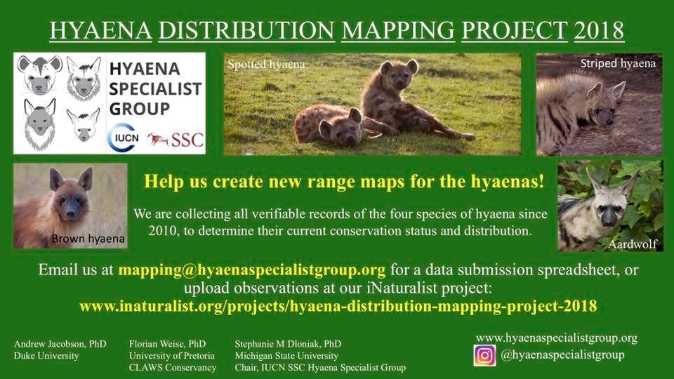 kal_batearedfox's tweet photo. Have you seen or heard a hyena? Send @HyaenaSG a message and let them know! They are launching a new project and need YOUR data! #hyaenadistributionmappingproject2018 #hyena #hyaena #spottedhyena #spottedhyaena #stripedhyena #stripedhyaena #brownhyena #brownhyaena #aardwolf https://t.co/B7bbm6uhnV
