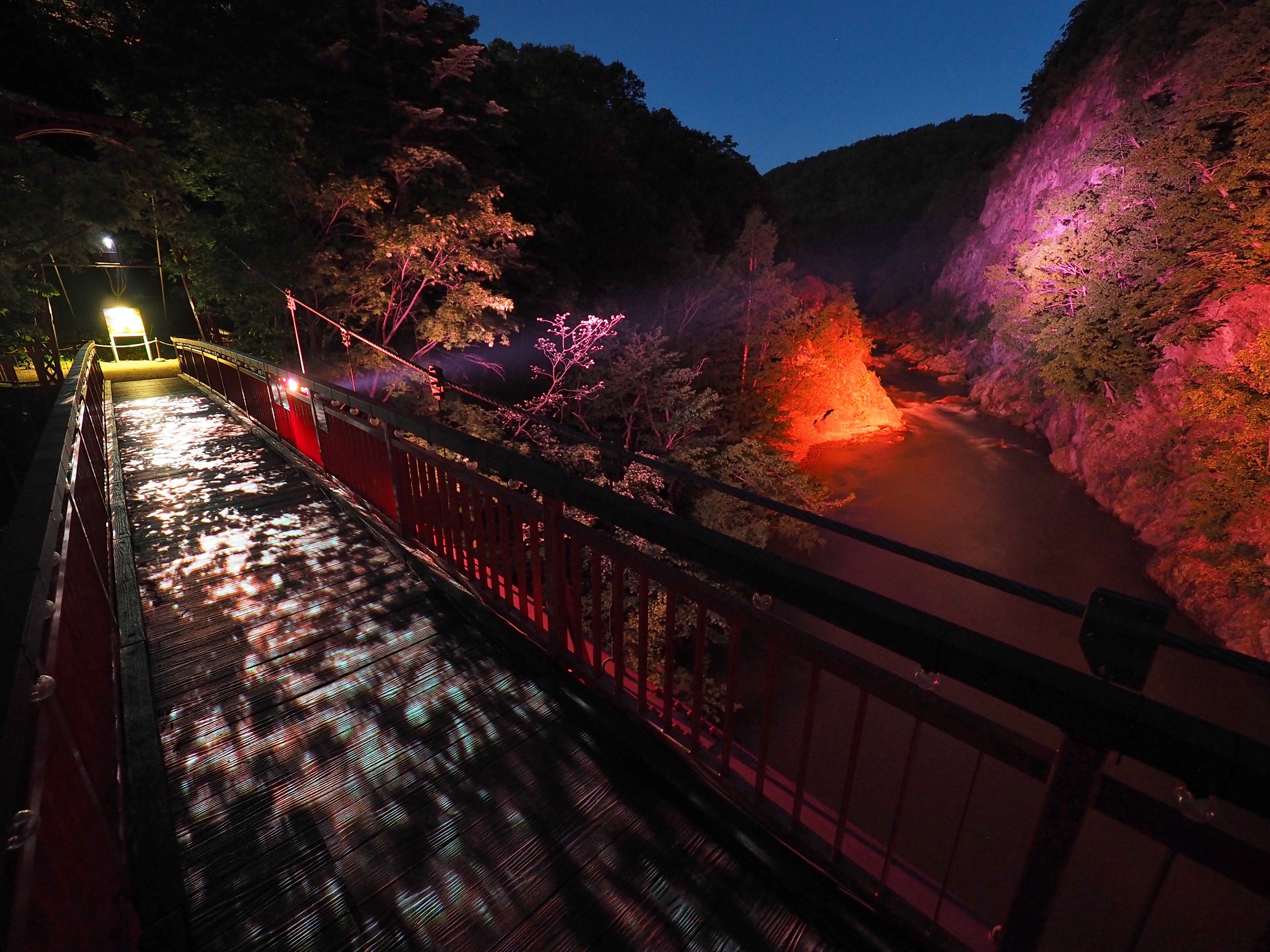 توییتر 定山渓観光協会 در توییتر 自然と共創するイルミネーション Jozankei Nature Luminarie が6 1から開催します 自然散策路を 繊細なイルミネーションやプロジェクションマッピングで 星降る夜の森 をテーマに定山渓温泉の自然の生命感を演出します