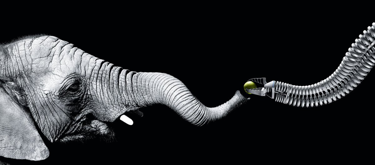 Bioinspired Robotics Seminar at EPFL, 26th June - Festo Bionic Network Director, Elias Knubben will present all the legendanry and futre Festo project.  REGISTER: bioinspired.epfl.ch/page-150930-en…