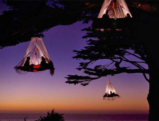 fearymeadows's tweet photo. TREE CAMPING ❤️❤️
Camping can be great fun and is one of our favorite past times.
#tourism #adventure #travel #naturebeauty #lovelysites #backpacking #pakistan #travellingpants #treecamping #explore #usa #california #campimg
Like our FB Page
https://t.co/mT0rMOQ20U https://t.co/zWuwqa69FG