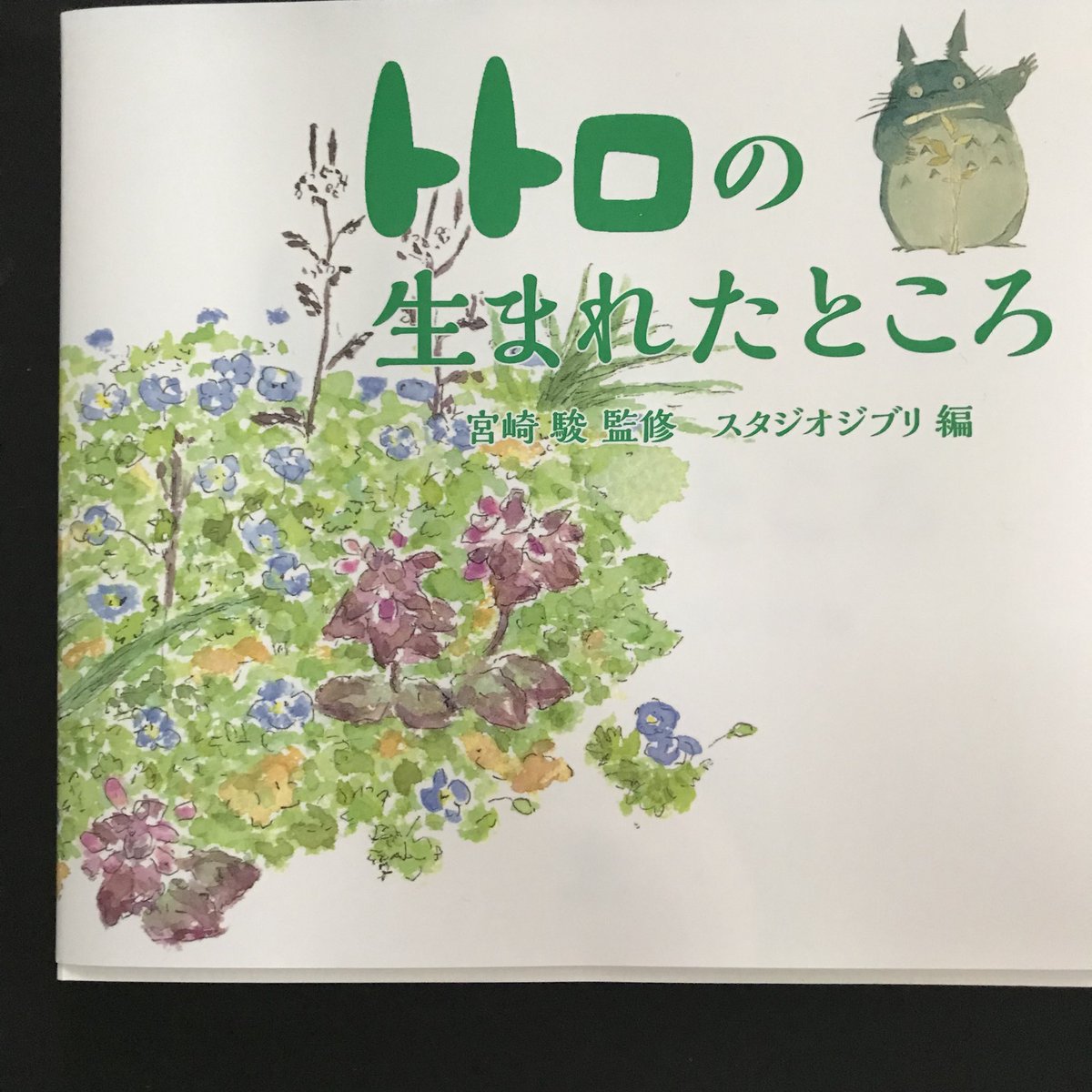 トトロの生まれたところ。宮崎駿さんの筆致や言葉を目にすると、隣人と（この本でいえば森と）お前はどう向き合っていくのかと、絶えず問われているような気持ちになる。とても面白い本でした。虻にめっちゃ刺されたり木苺を採りまくってた子供の頃を思い出した。