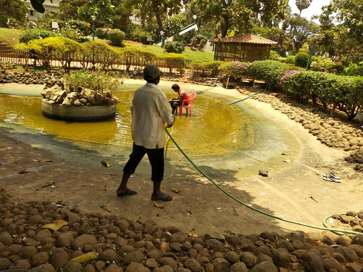 CommunityBandra's tweet photo. @Asif_Zakaria has visited #JoggersPark #Bandra &amp; cleaning of the pond is in process. #Thankyou for reporting the issue. @Asif_Zakaria thank you for your quick response. #bandramatters #Bandra #celebratebandra https://t.co/Oz4rWg8JOy