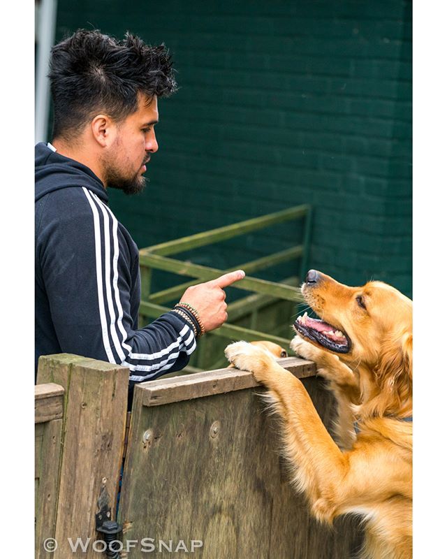 WoofGroup's tweet image. Naughty!