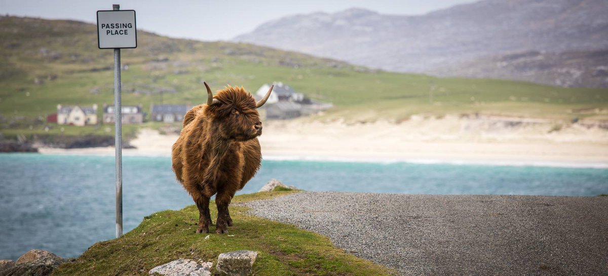SkyeAcademy's tweet image. Just another day in the #Hebrides!

@OuterHebs @CalMacFerries @VisitScotland
