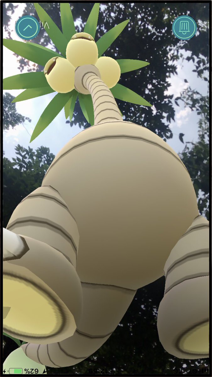 アローラナッシーar写真展 Twitter Search