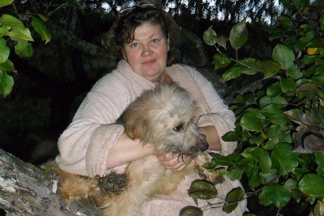 KP_PSKOV's tweet image. Жительница Санкт-Петербурга просит всех неравнодушных людей помочь ей спасти приют для животных: pskov.kp.ru/daily/26670/36…

#бездомныеживотные #доброедело