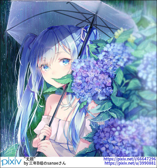 Pixivision おはよっぴ しとしとと降る雨の中 たくさんの小さな傘が開いたような紫陽花が見られると 梅雨も悪くないなぁと感じるっぴね 小さな傘が花開く 紫陽花を描いたイラスト特集 T Co Dzjkhpqdok