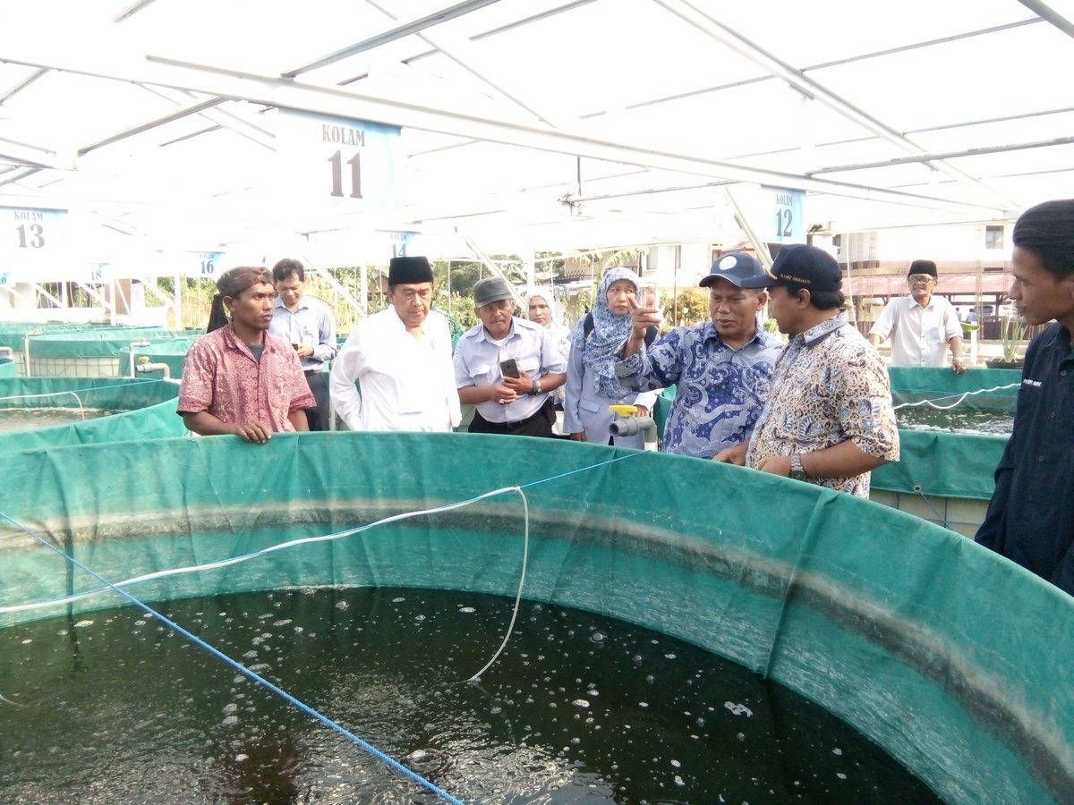 bbpbat_sukabumi's tweet photo. Kunjungan Dirjen Perikanan Budidaya ke Pesantren Al Masthuriyah penerima Bantuan Budidaya Lele Sistem Bioflok @BudidayaKKP @kkpgoid @s_soebjakto @susipudjiastuti https://t.co/w7ckuFvfEC