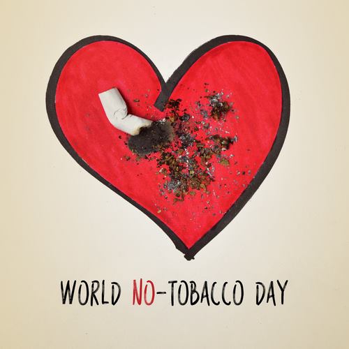 FIMMGVeneto's tweet photo. Giornata Mondiale senza tabacco istituita dal @MinisteroSalute 
In Italia sono 11.7 milioni i fumatori e rappresentano il 22.3% della popolazione, l'attenzione alla nostra salute e ai nostri cari è fondamentale. https://t.co/Kr1ISFV9wj #FIMMGVeneto #salute #notabaccoday https://t.co/zBBuK2piw2