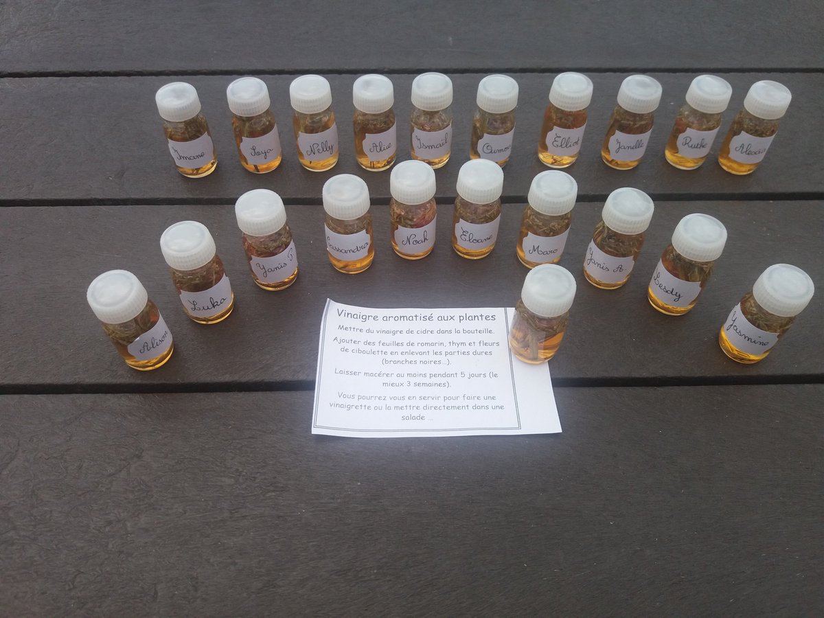 cppmc17's tweet image. &quot;Nous avons fabriqué du vinaigre  aromatisé aux plantes.&quot; Maro et Cassandra
#classedugoût