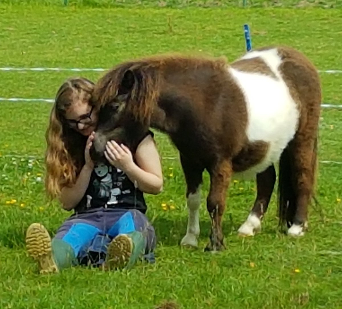 TracyDarke's tweet photo. #specialbond #miniatureshetland #asd #spd #autism #girlsbestfriend #yearlinggelding # therapypony https://t.co/CUX3OgLH4V
