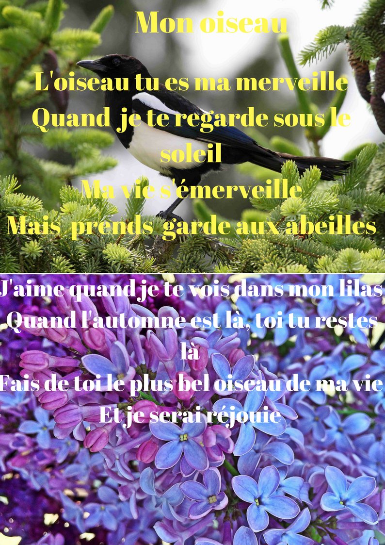 MmeMHG's tweet photo. #ProjetPhotoPoesie Marialye Gagnon https://t.co/O9PzJcFu1x