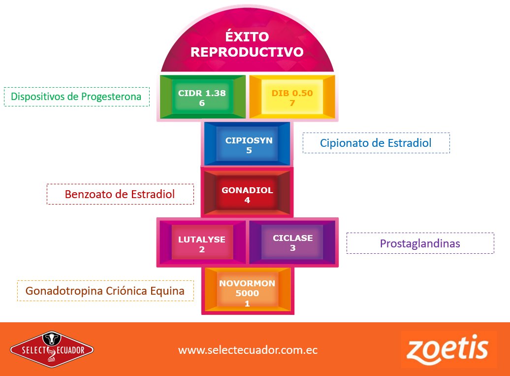 SelectEcuador tweet picture