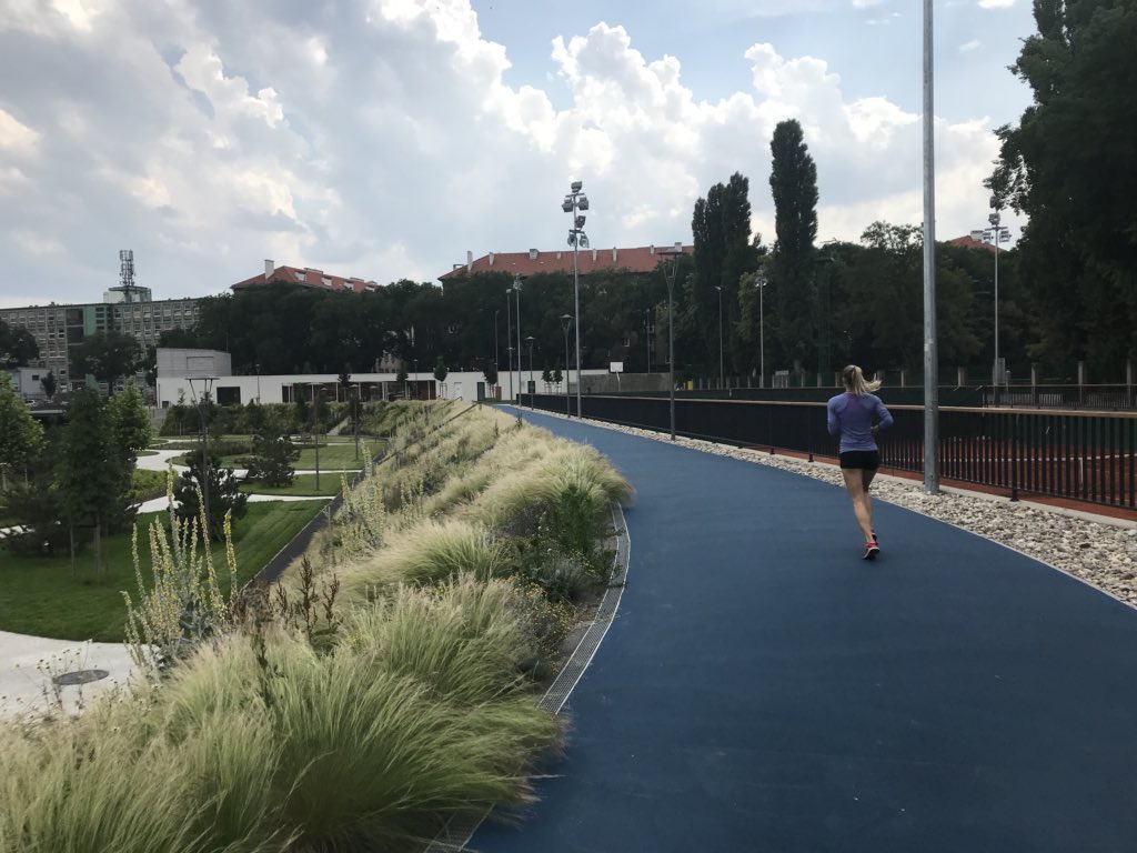robertafusari's tweet photo. Visit and workshadowing in Bratislava our partner in #perfect_eu #greeninfrastructure https://t.co/aohNcn6JaZ