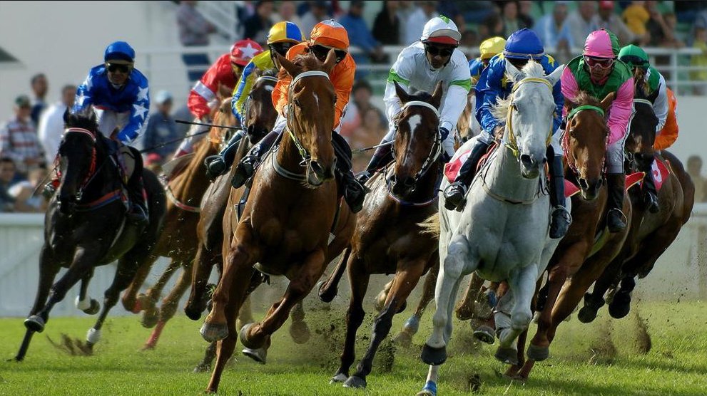 F_Darras's tweet image. Un lot de bonnes nouvelles pour les investisseurs en #crowdequity sur le projet Mac-Lloyd, notamment sur le plan de l'hippisme lci.fr/salon-vivatech… 
@MacLloydSport @Anaxago_team @_PMU