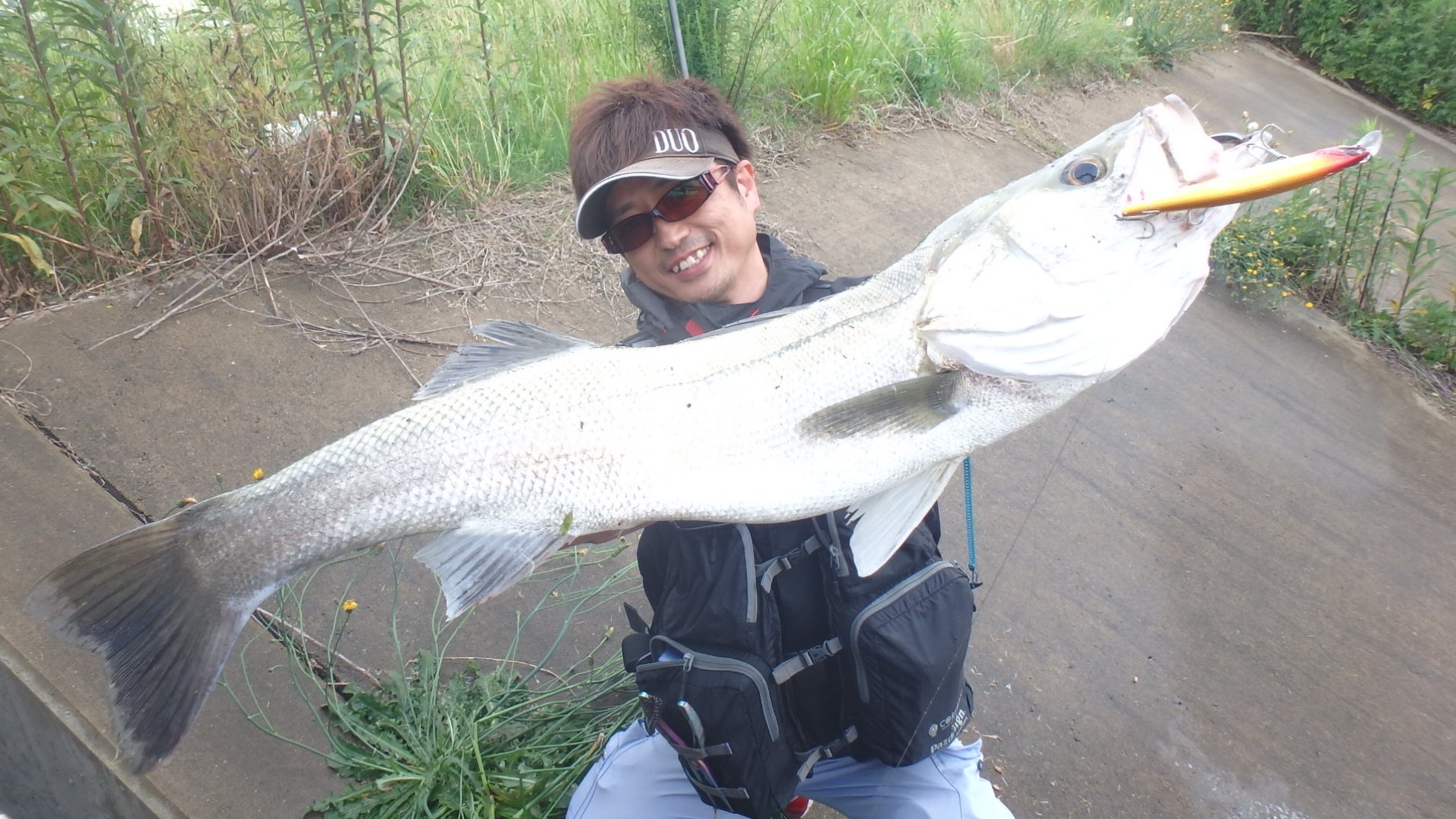 ひらりん ナイスファイトのランカーきたぜ シーバス Seabass Duo Coreman デュオ コアマン レアリスジャークベイト 雨上がり 止めて食わせる T Co Km1h4lkcud Twitter