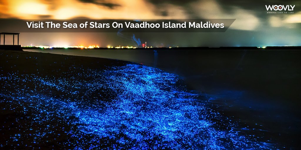 Песни свет в океане. Остров Ваадху Мальдивы. Мальдивы остров Ваадху море. Озеро Ваадху. Остров Ваадху, Мальдивы. Планктон.