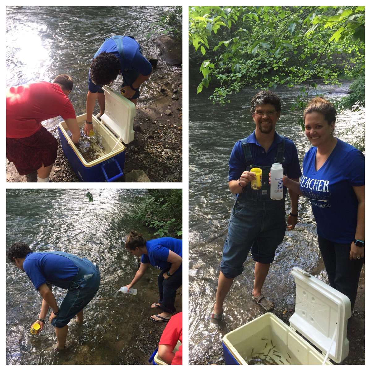 Skyview_Elem's tweet photo. Mr. Nantz releases trout that his class helped raise. This is a spectacular thing and a labor of love. Thanks Mrs. Coker for helping and being part of this amazing learning experience! #🚀pride https://t.co/02p3xoWwcy