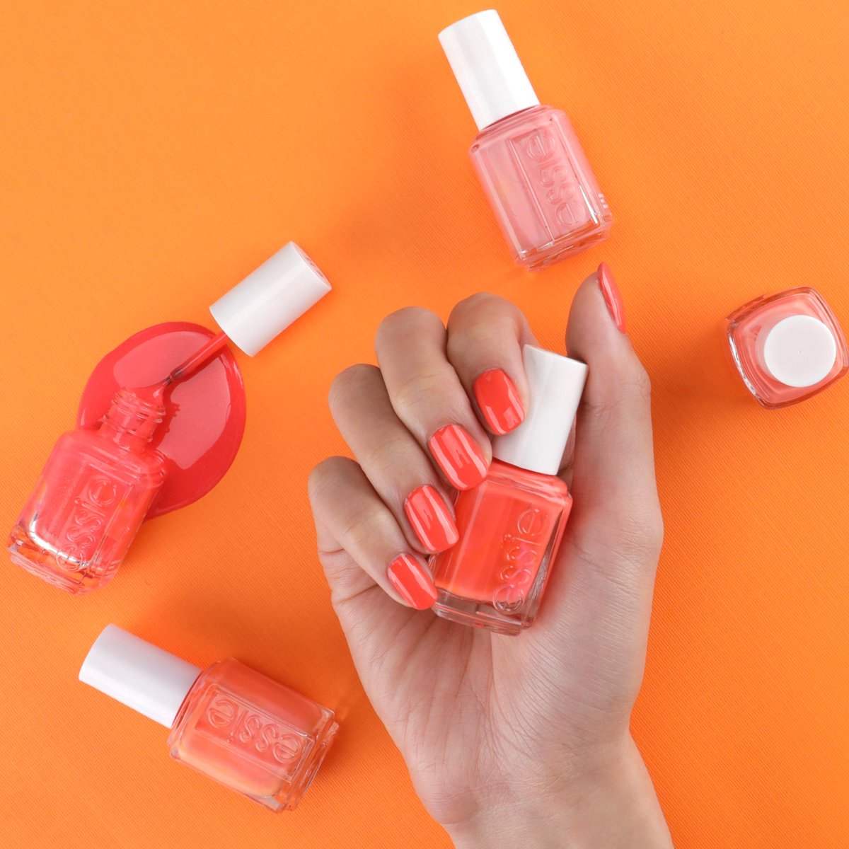 essie's tweet photo. there's something about punchy corals we just can't get enough of... which one would you rock? featured: #sundayfunday, #tartdeco, #peachsidebabe, #stonesnroses and #sunshinestateofmind snag them: https://t.co/SZM7QkGuBQ https://t.co/BlrnxS9KNb