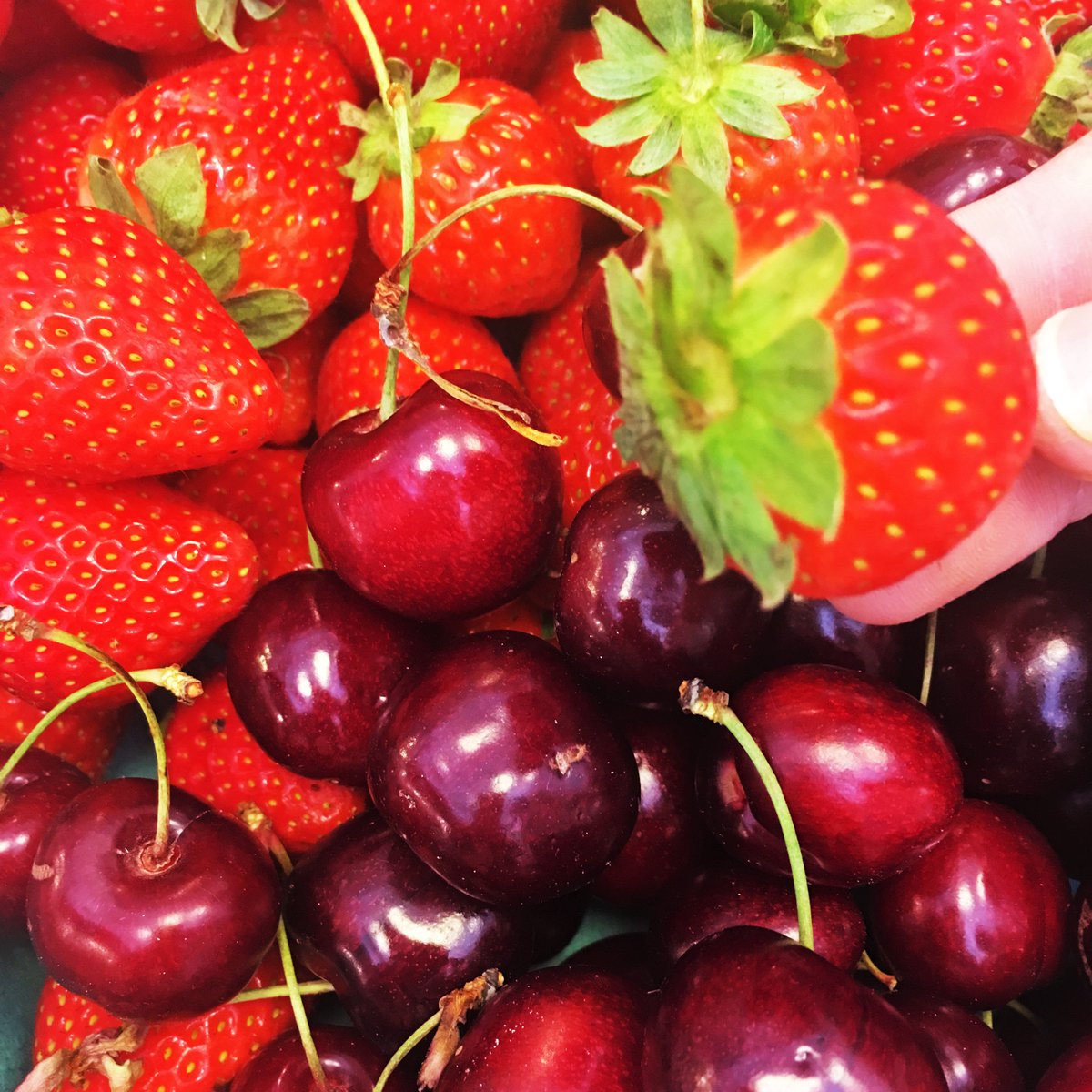 Los sabores cambian con las estaciones y nosotros con ellas. Disfruta de nuestra fruta de temporada:
🍓 Fresón de Huelva
🍒Cerezas del Valle de Jerte
¡Ven a por ellas a Kiki-Market o hazte con ellas online! 😋
💻 tienda.kiki-market.com
#KikiMarket #OrganicFood #Fruit #Summer