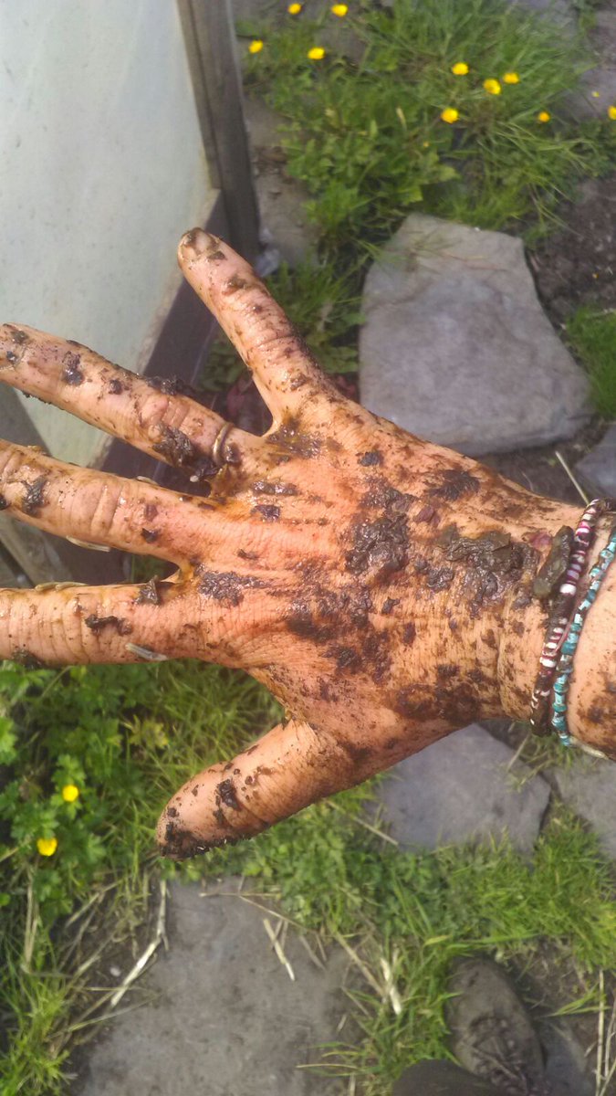 Moy House tweet media