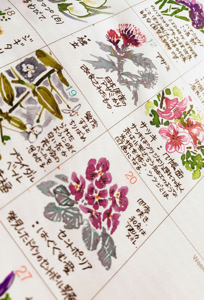 惠 Jds 7 23 5月も続いてます 手帳 万年筆イラスト部 花マンスリー
